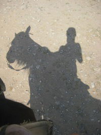 Тамара Верещака