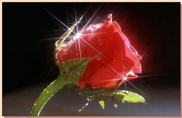 Сергей Сергей