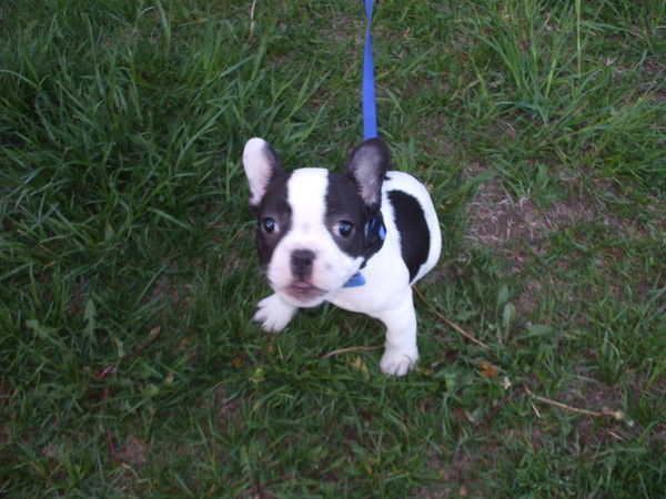 Катерина Ржечицкая