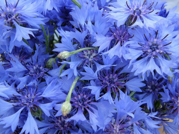 Отдел Экономики Полоцкого Райисполкома