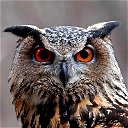 Алексей Owl