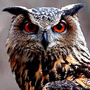 Алексей Owl