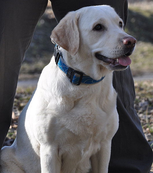 Анастасия Горпинич