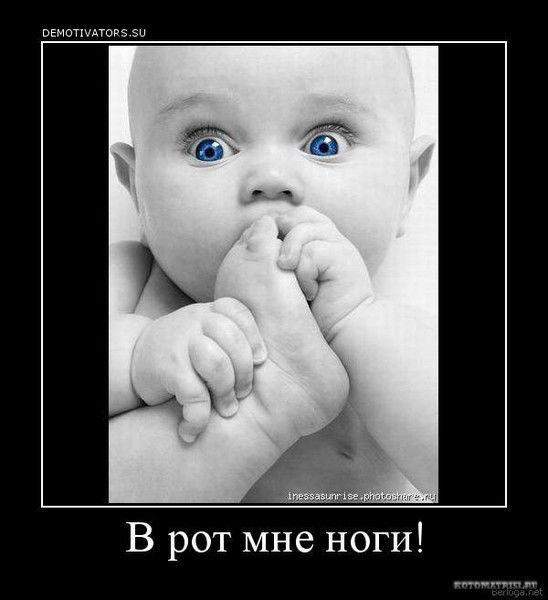 Марина Соколова