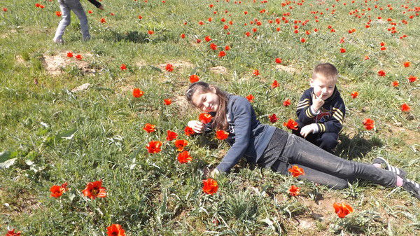 Гаухар Сарыбаева