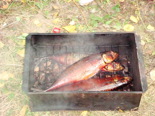 Михаил Максимович