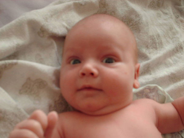 Елена Еременко