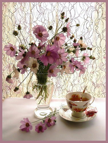 В+К= Вечность