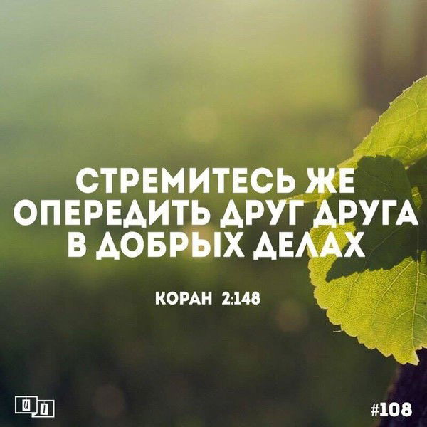 Султан Байкожоев