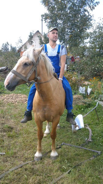 Сергей Павлов