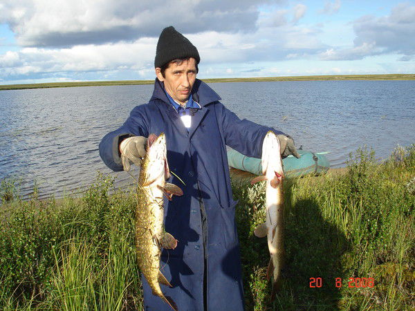 Ильдар Давлетбаев