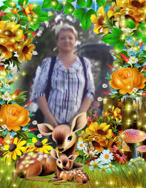 Елена Шевченко