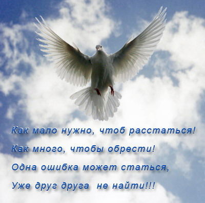 Анастасия Черткова