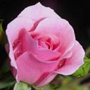 Ильгиза Садыйкова