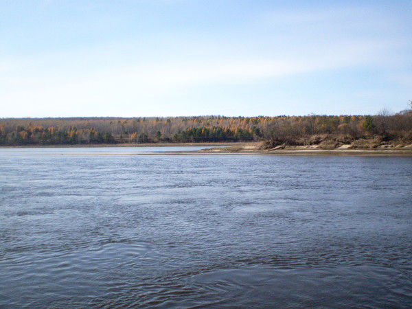 Нина Буйновская