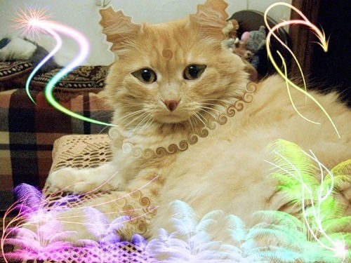 Елена Чибисова