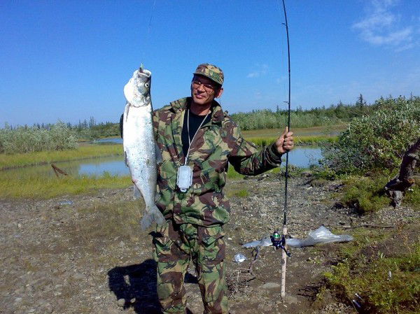 Алексей Тимофеев