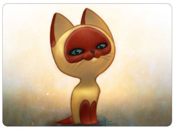 Светлана Ильина