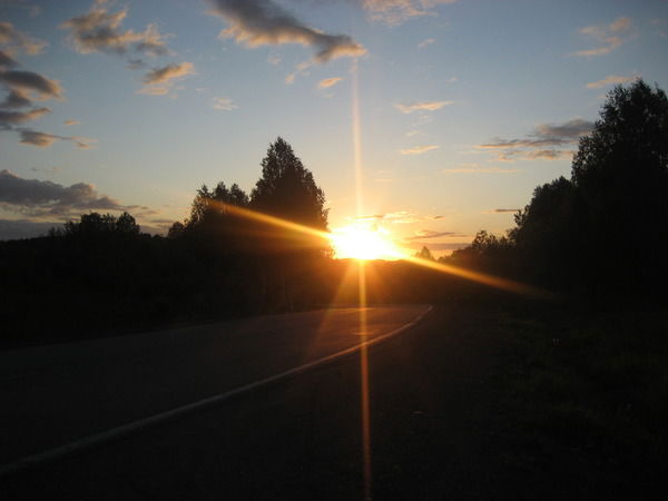 Надежда Шафееа