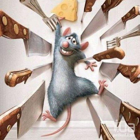 Амфибиотропная асфиксия что это. 934e8. Амфибиотропная асфиксия что это фото. Амфибиотропная асфиксия что это-934e8. картинка Амфибиотропная асфиксия что это. картинка 934e8