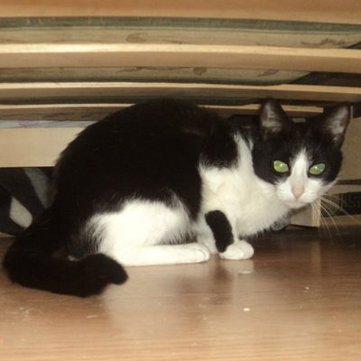 Катя Иванова