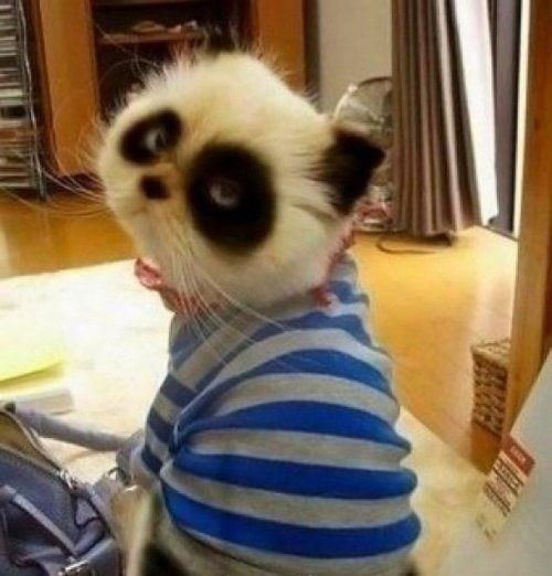 Екатерина Черноусова