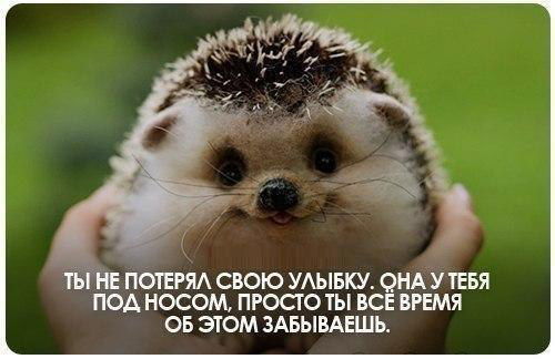 Инесса Елисеева