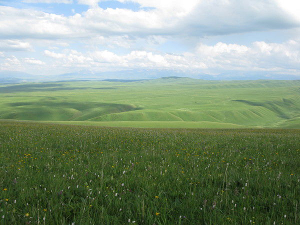 Фатима Зинадинова