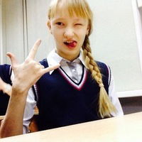 Влада Венгер