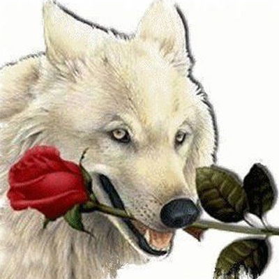 Светлана Иванова