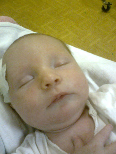 Владимир Курышев