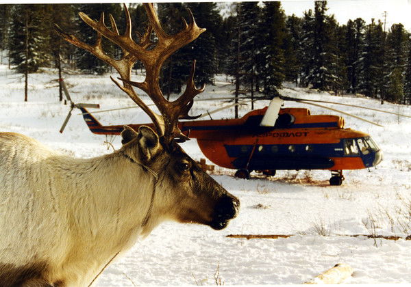 Тоджинская Цкб Гбуз Рт