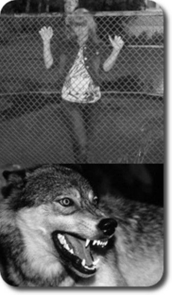 Светлана Шувалова