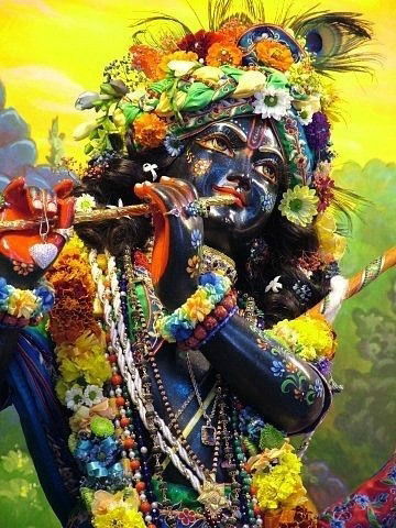 Петя Кравець