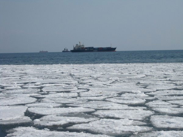 Наташа Мисник