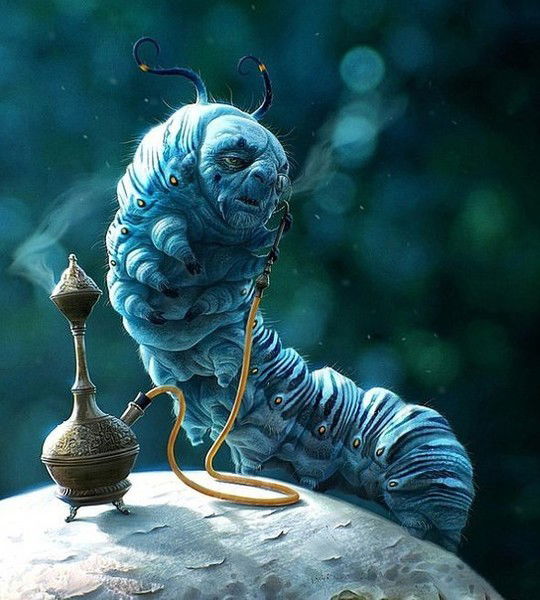 °¤ Sc[R.i.p]T ¤°