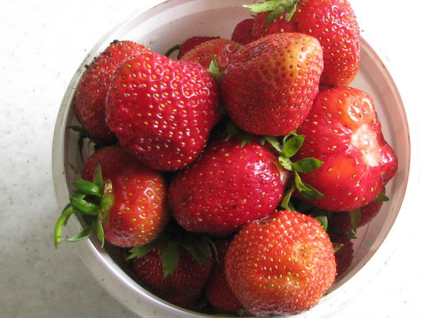 Аня Месяцева