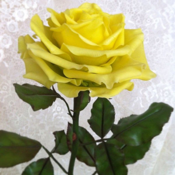 **наталия** ****