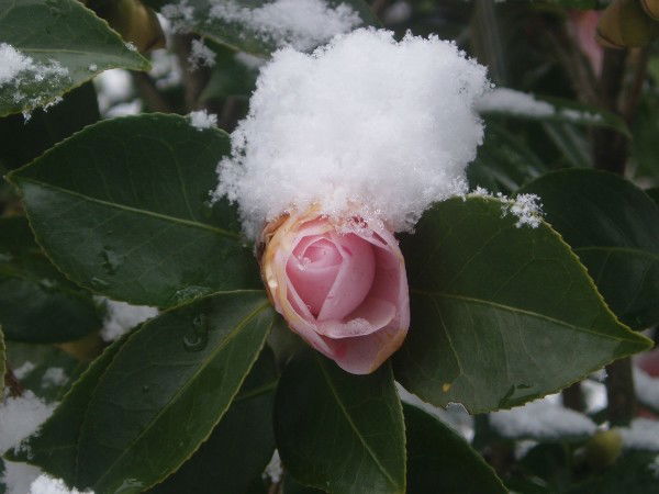 Светлана О&о