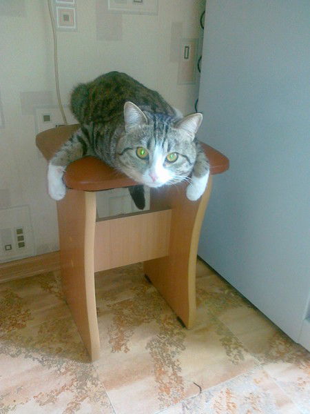 Дмитрий Шаварин