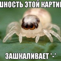 Антон Сергеев