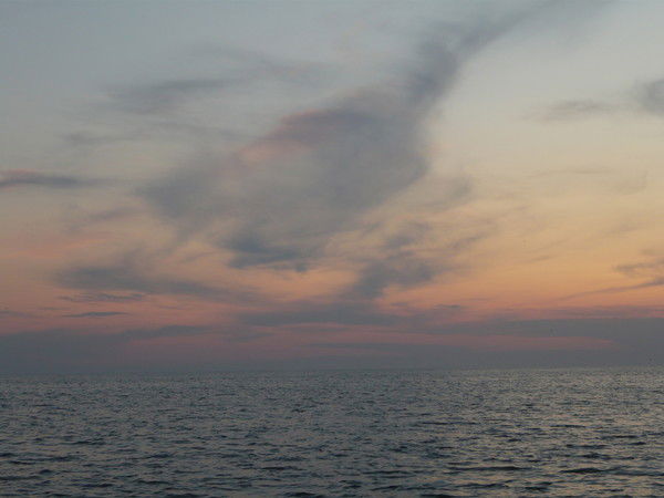 Людмила Галяева