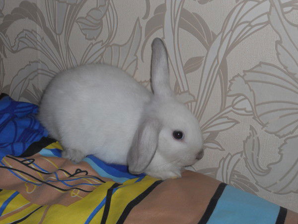 Аня Половинкина