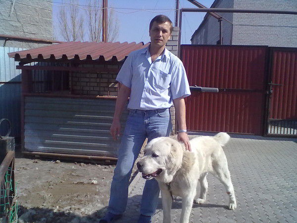 Николай Никитин