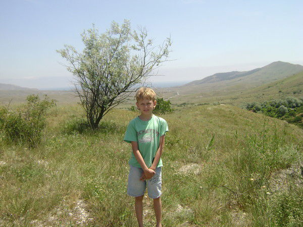 Никита Петовраджи