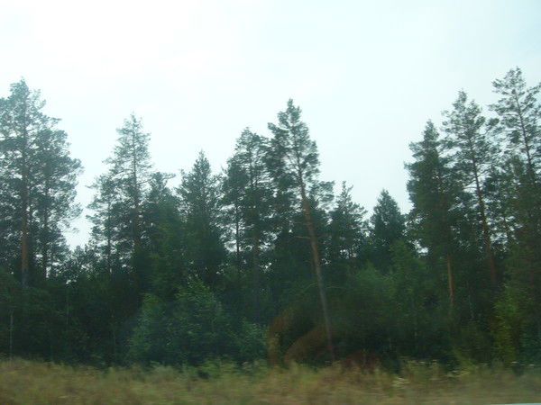 Есболат Еспенбетов