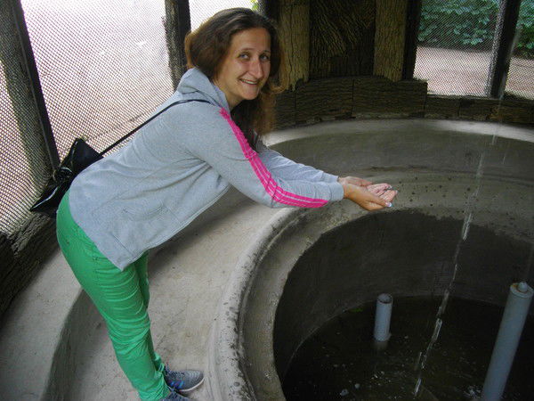 Наталия Ильина