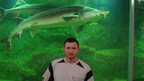 Александр Брянский