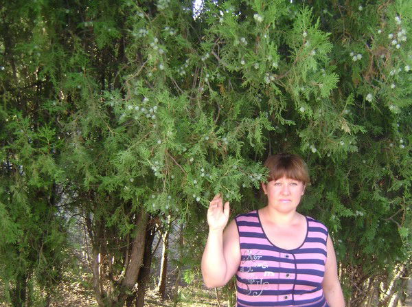 Наталья Мирошниченко