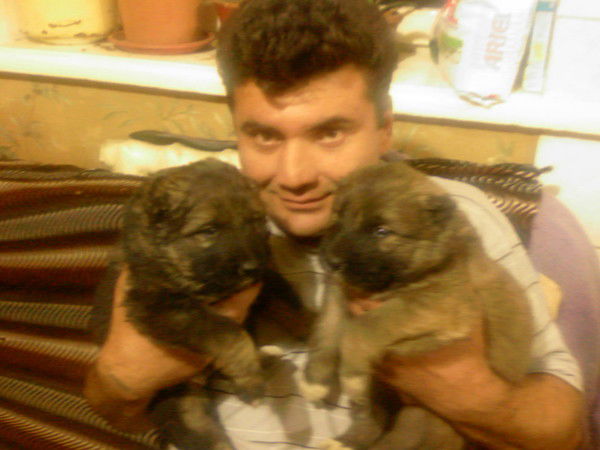 Рустам Сафаров